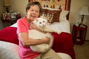 senior-apartment-cupertino